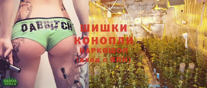 где продают наркотики  mega ONION  Канабис THC 21%  Алупка 